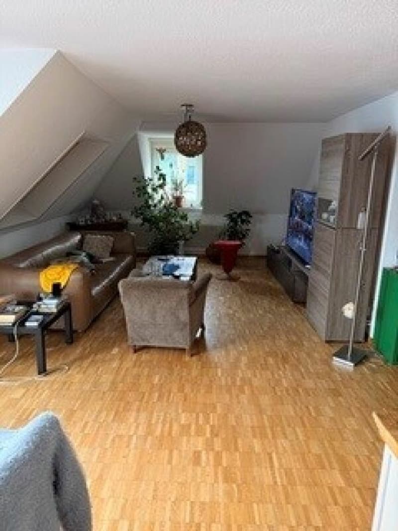 4.5 room old building apartment with large roof terrace (4)