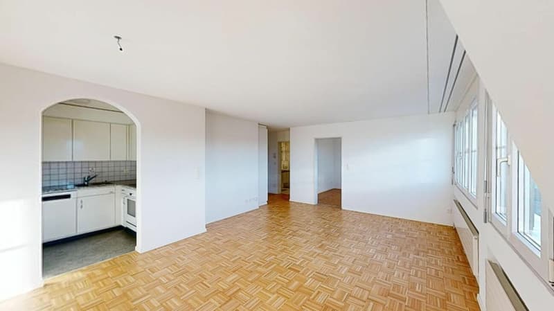 Beautiful 2.5 room apartment seeks subtenant (3)