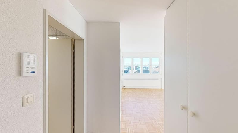 Beautiful 2.5 room apartment seeks subtenant (7)