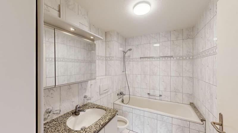 Beautiful 2.5 room apartment seeks subtenant (4)