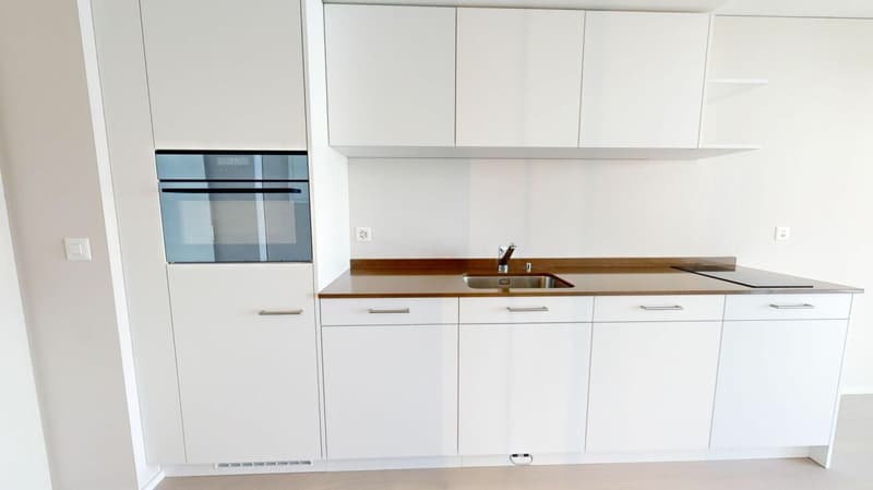 Modern single apartment (3)