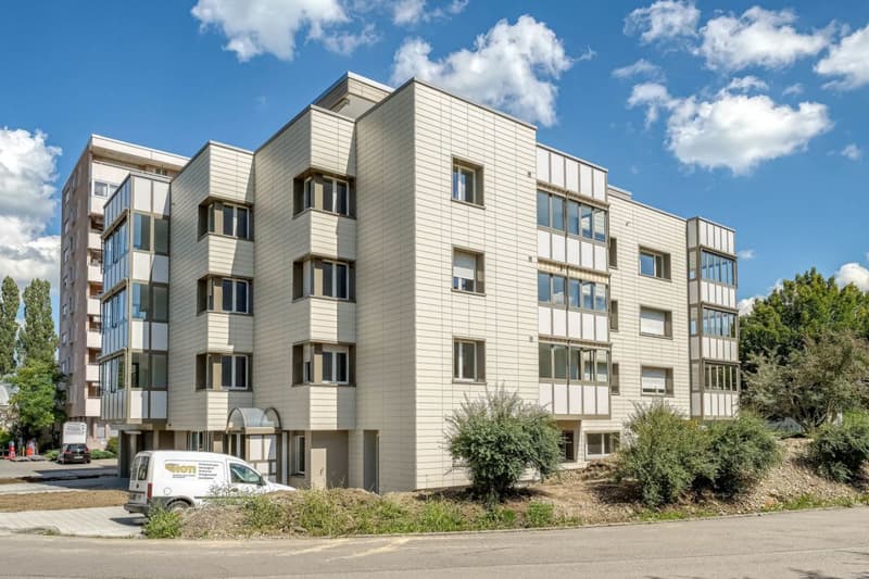 Attraktive 3.5 Zimmer Wohnung (1)