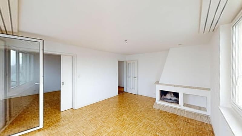Beautiful 4.5 room apartment seeks new tenant (3)