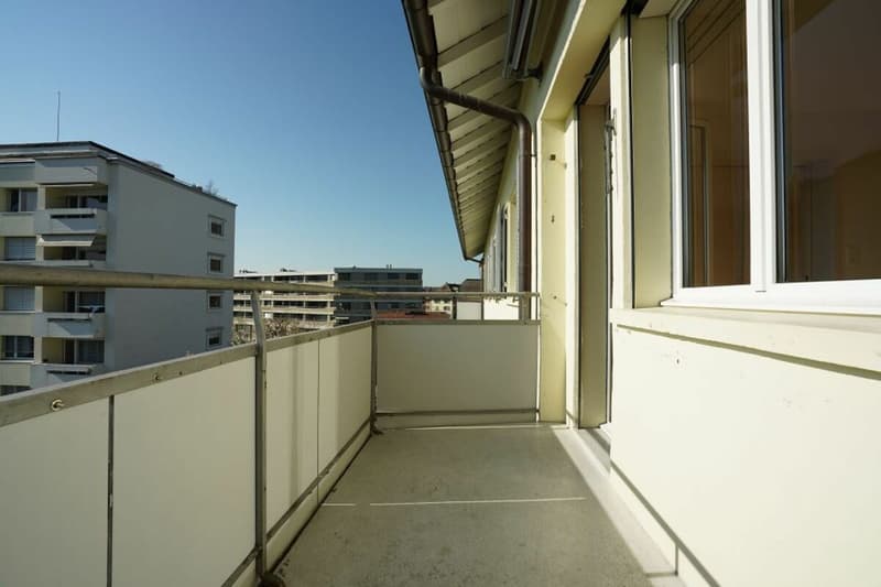 Beautiful 4.5 room apartment seeks new tenant (11)
