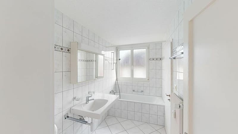 Beautiful 4.5 room apartment seeks new tenant (6)