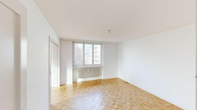 Beautiful 4.5 room apartment seeks new tenant (5)