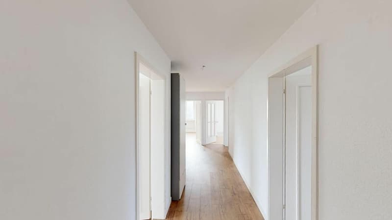 Beautiful 4.5 room apartment seeks new tenant (10)