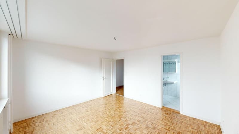 Beautiful 4.5 room apartment seeks new tenant (7)