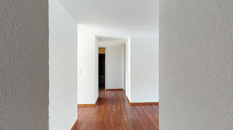 Cozy apartment in Rorschacherberg (4)