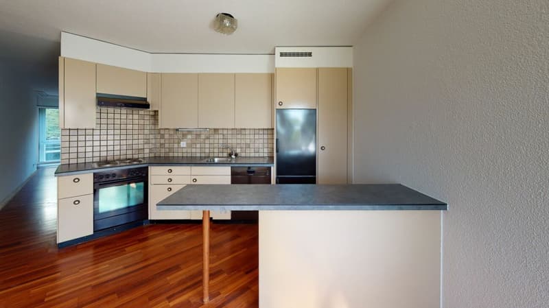 Cozy apartment in Rorschacherberg (3)
