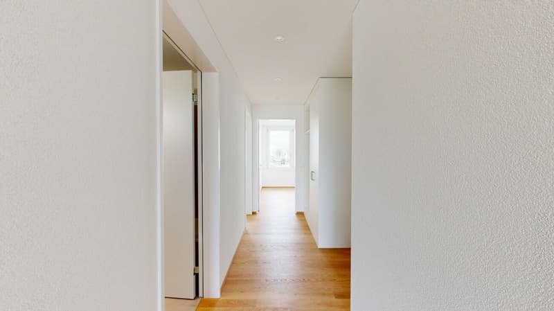 Superba appartamento 3.5 locali sul lago (5)