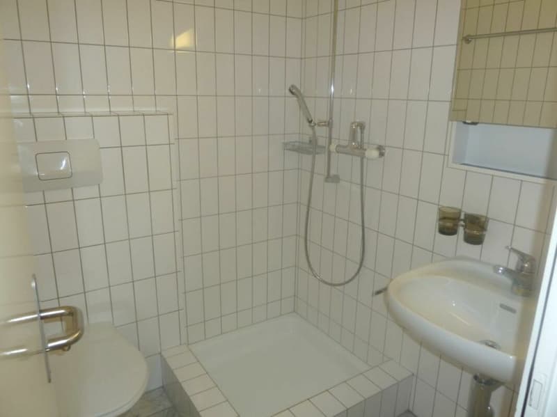 Bright 5.5 room maisonette apartment in the city center - limited until 31.03.2027 (11)
