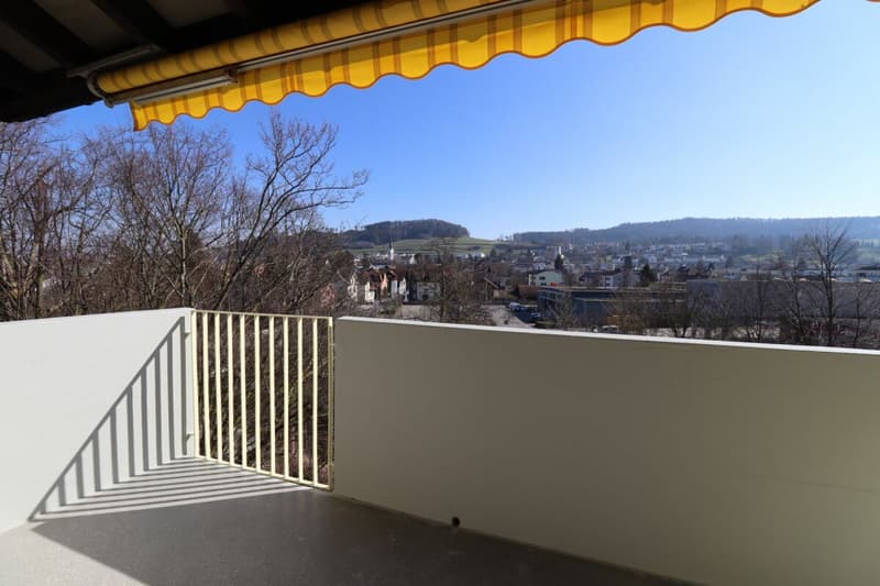 Appartamento 3,5 locali (7)
