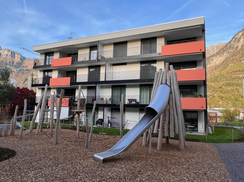 Newly valued 2.5 room apartment (11)