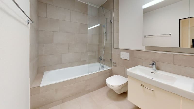 Newly valued 2.5 room apartment (6)