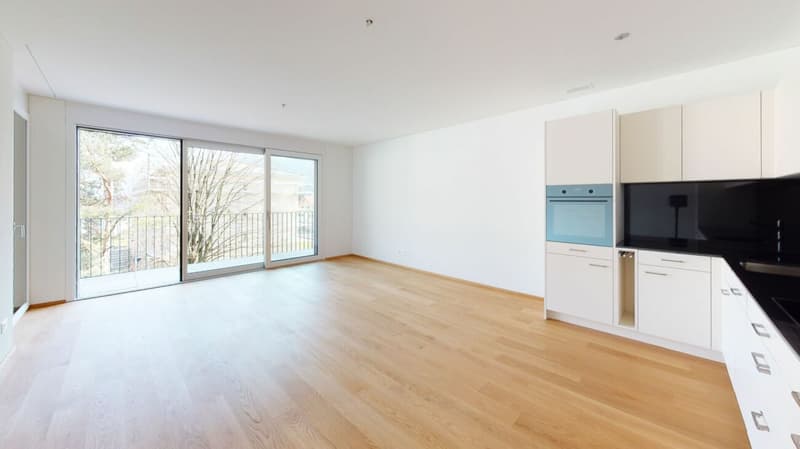Newly valued 2.5 room apartment (2)