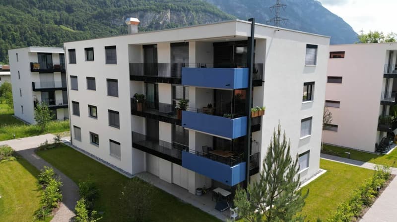 Newly valued 2.5 room apartment (1)