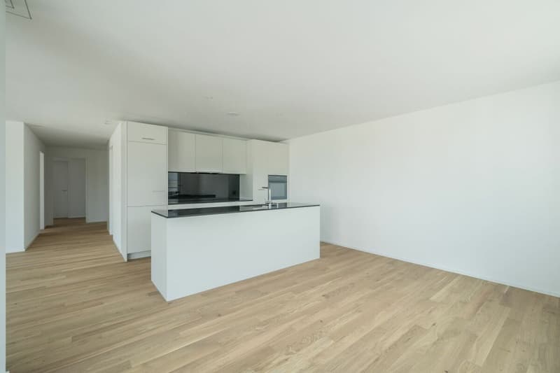 Moderne 3.5 Zimmer Wohnung am See (4)
