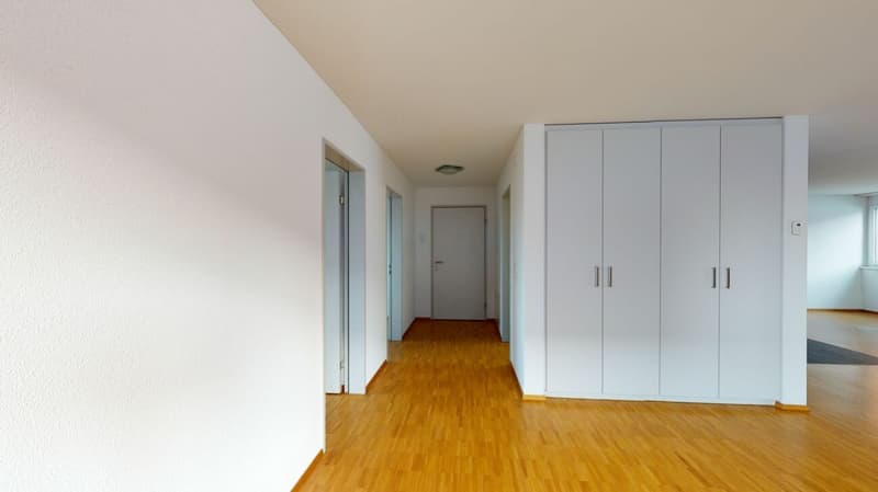 Appartamento moderno di 3,5 locali (4)