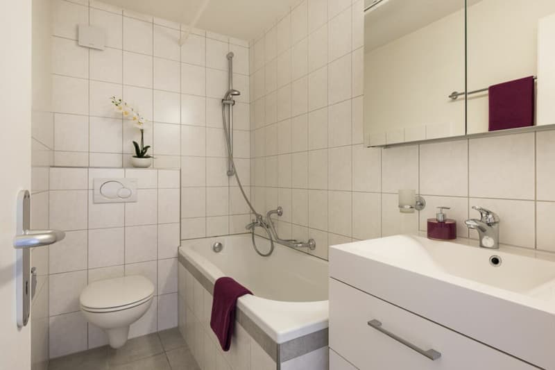 Appartement lumineux à louer (4)