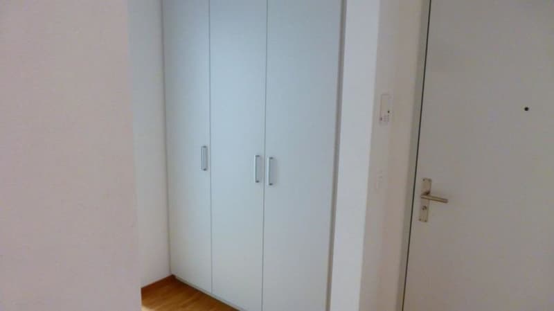 Attractive single apartment (6)