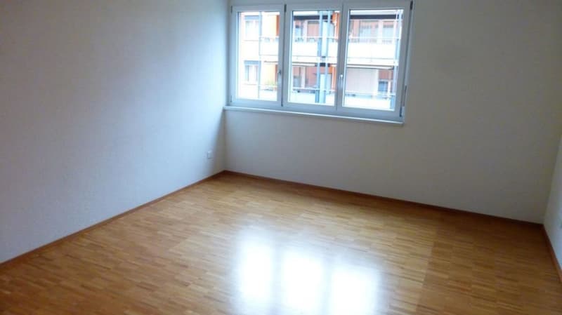 Attractive single apartment (4)