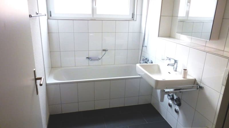 Attractive single apartment (7)