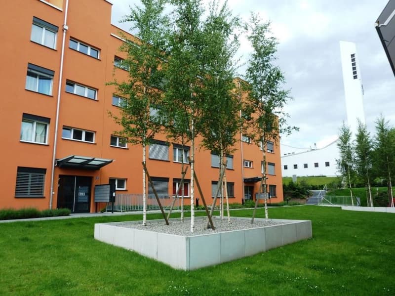 Attractive single apartment (1)