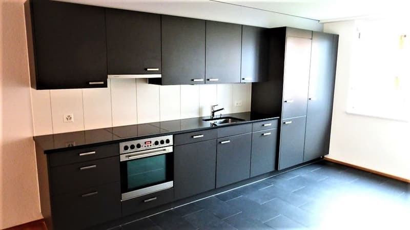 Attractive single apartment (3)