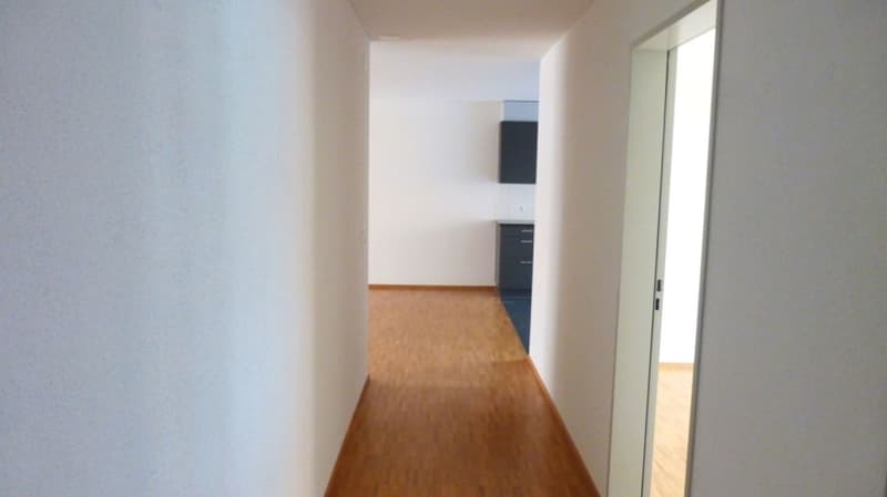 Attractive single apartment (2)