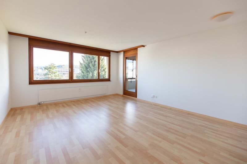 Apartment in a quiet location (4)
