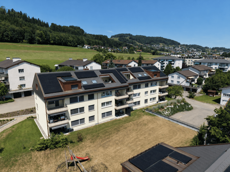 Apartment in a quiet location (1)