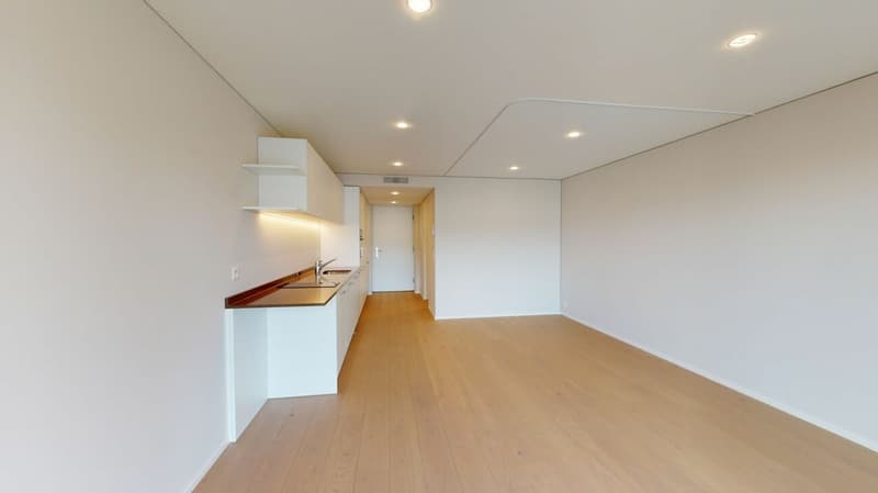 Appartamento singolo moderno (4)