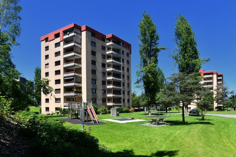 Schöne Single-Wohnung mit grossem Balkon (1)