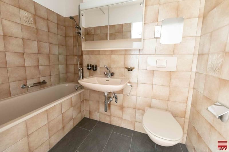 Schöne Single-Wohnung mit grossem Balkon (4)