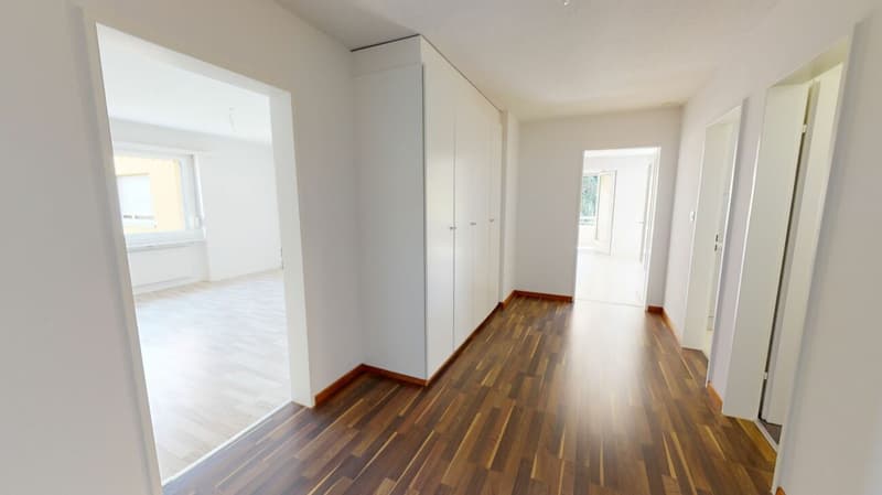 ATTRAKTIVE Sitzplatz-Wohnung in Ermatingen (4)