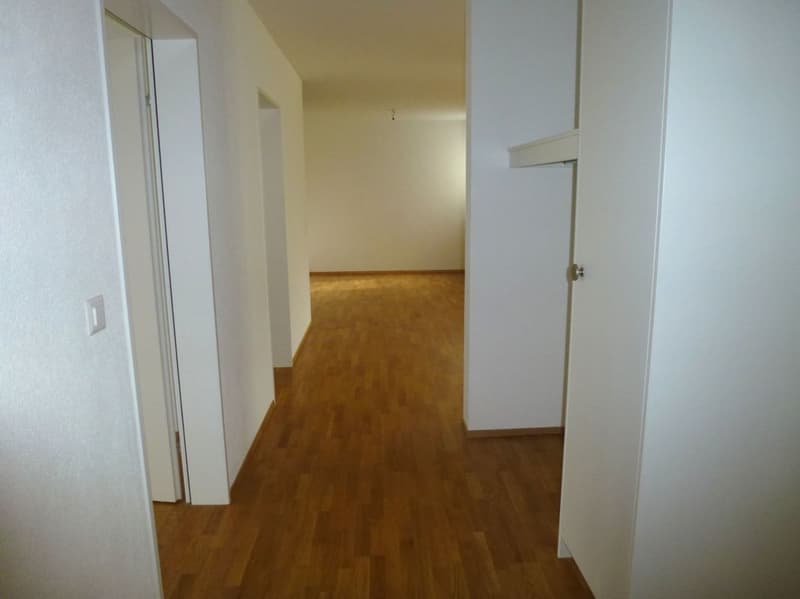 Appartamento luminoso e accogliente (4)