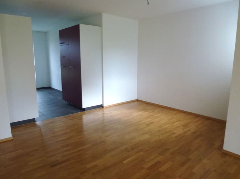 Appartamento luminoso e accogliente (5)