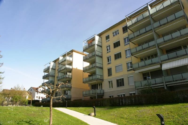 Stadtnahe 4.5 Zimmer Wohnung (1)