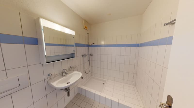 Stadtnahe 4.5 Zimmer Wohnung (6)