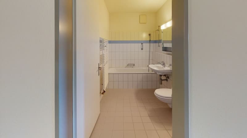 Schöne Stadtnahe 2.5 Zimmer Wohnung (4)