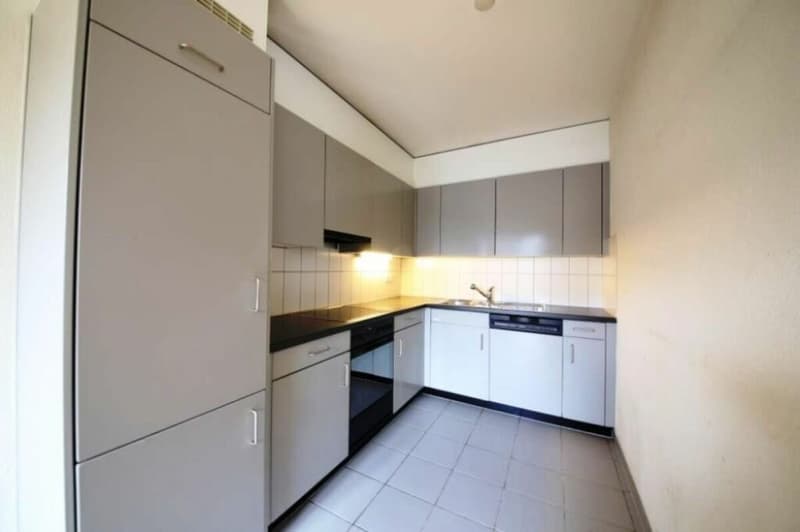 Schöne Stadtnahe 2.5 Zimmer Wohnung (2)