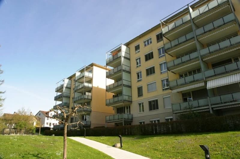 Schöne Stadtnahe 2.5 Zimmer Wohnung (1)