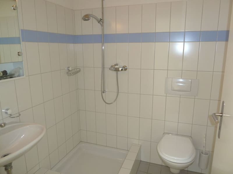 Grosse helle 4.5 Zimmer Familienwohnung (10)