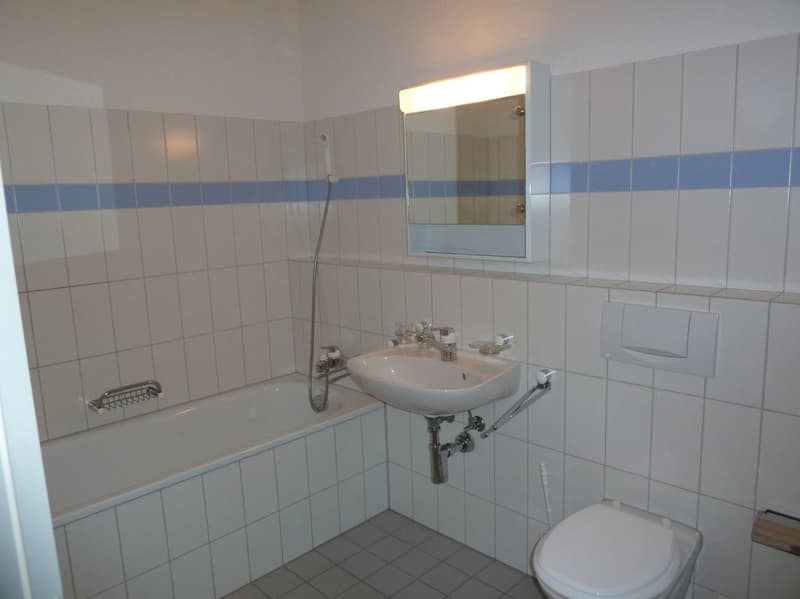 Grosse helle 4.5 Zimmer Familienwohnung (11)