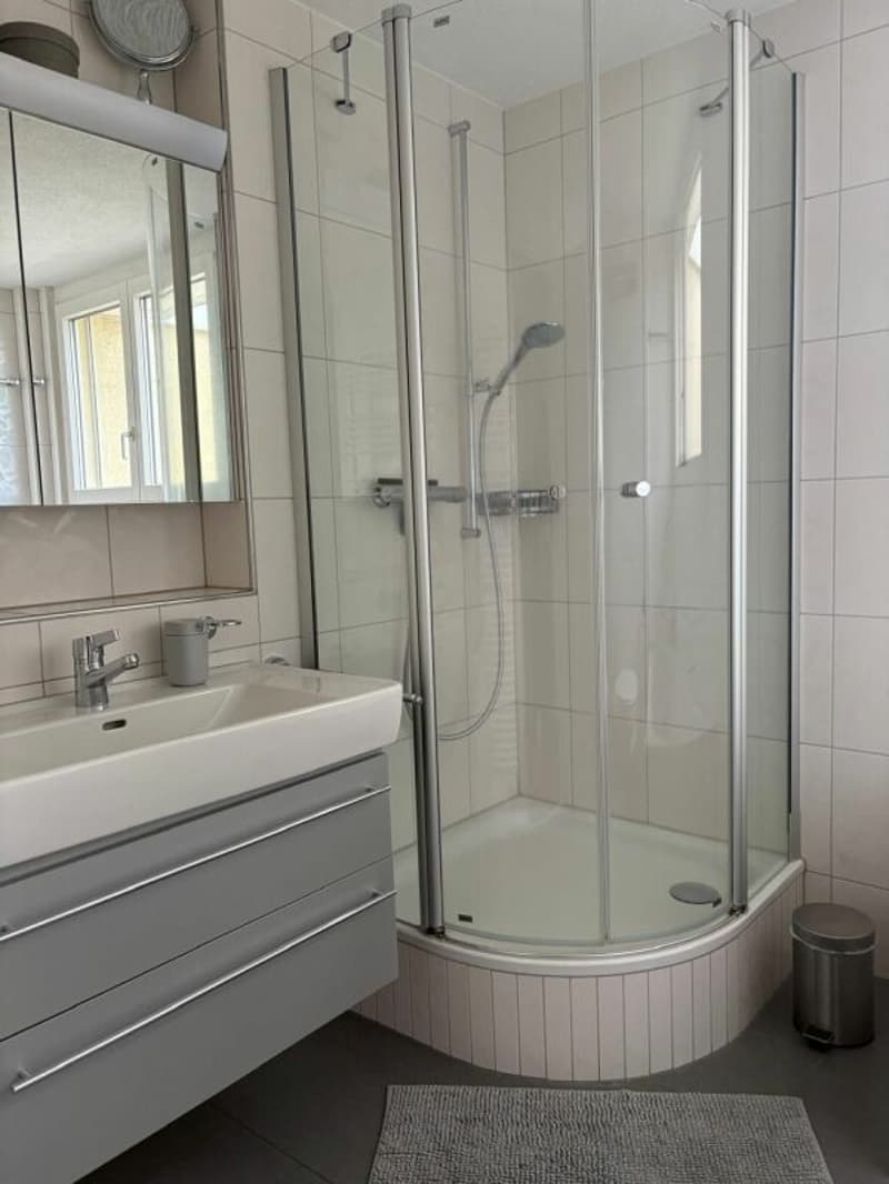 4.5 Zimmer Attikawohnung mit grosser Terrasse (9)