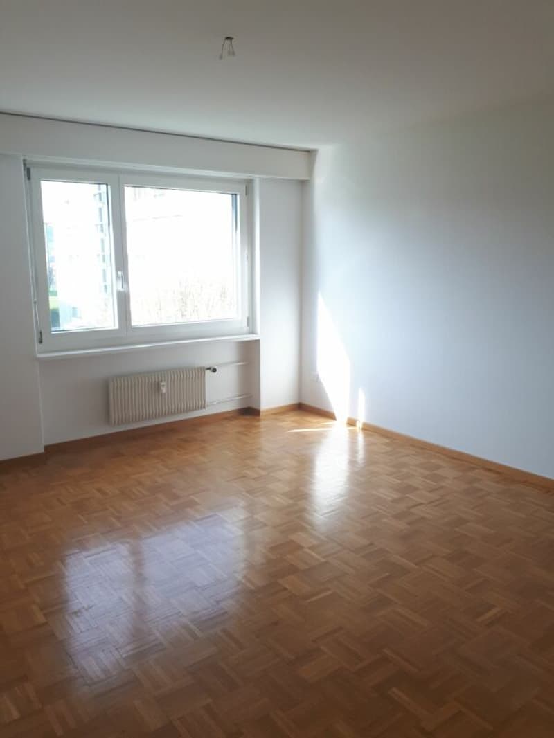 Charmante 5.5 Zimmer Wohnung (7)