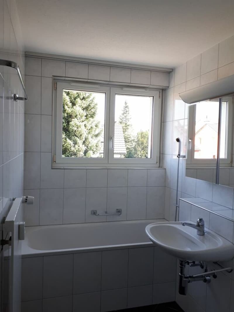 Charmante 5.5 Zimmer Wohnung (4)