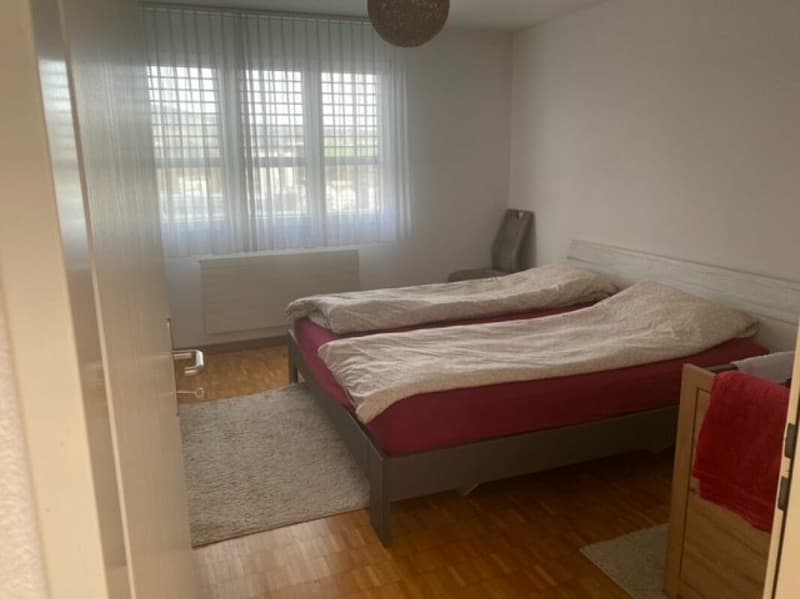 Gemütliche 3-Zimmerwohnung (6)