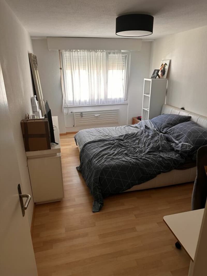 Gemütliche 3-Zimmerwohnung (6)
